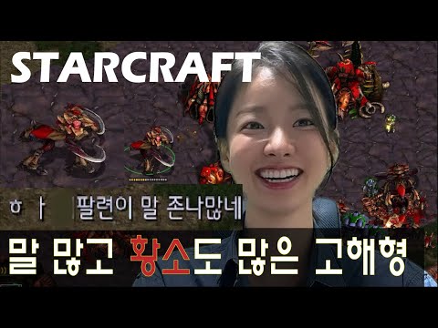 아이콘