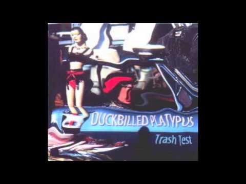 Duckbilled Platypus - Leatherstockings