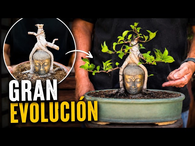 Vídeo relacionado con SSyang 10 Piezas Elfos de Árboles Luminosos Princesa Mononoke Luminoso Árbol Elfos Figuras de árboles Brillantes de Resina y balcón para jardín para Micro Paisaje Patio al Aire Libre Patio (Azul)