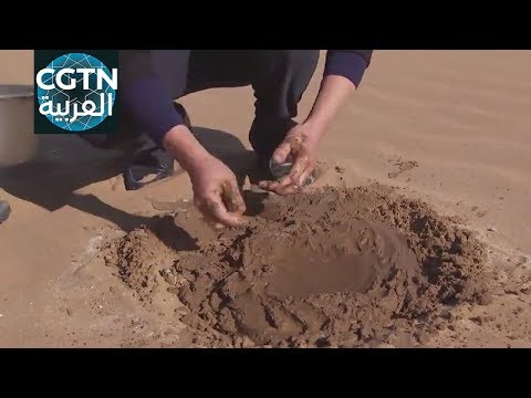 , title : 'مخترع صيني يحول الرمال إلى تراب'