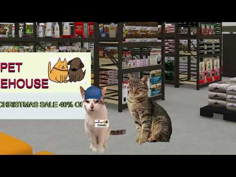 CATS EYE WITNESS NEWS - ACE RUNS INTO CHANEL AT THE PET WAREHOUSE