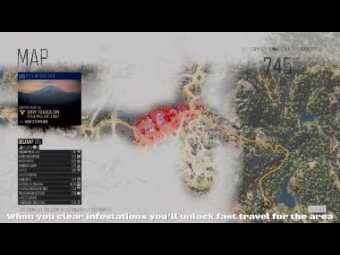 Video preview