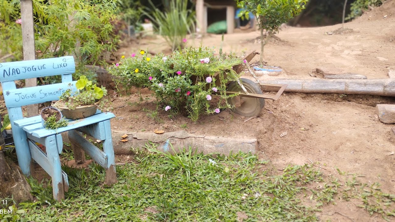 Estando em casa estamos lidando todo tempo limpeza plantando capinando flores folhagens #vidanaroça