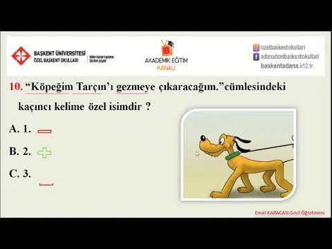 44 - Genel Tekrar Çalışmaları