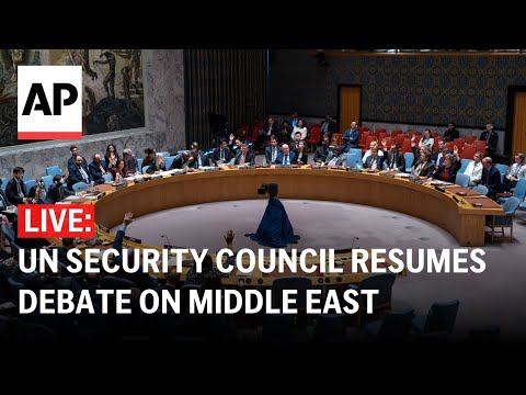 LIVE: UN Security Council resumes debate on Middle East, Palestinian question