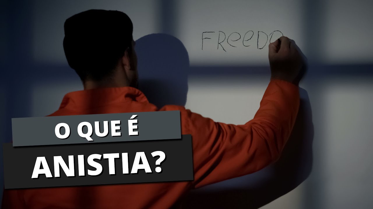 O que é ANISTIA?