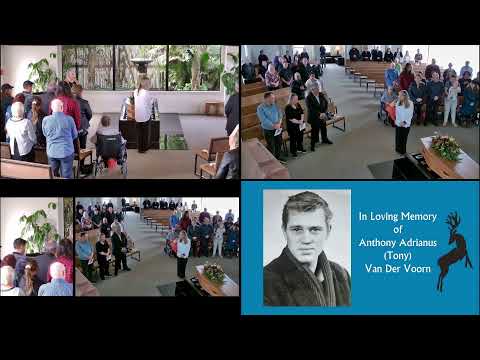 Anthony Van der Voorn