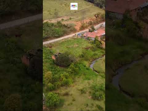 MOÇAMBO - MUZAMBINHO-MG #shorts