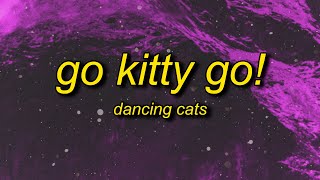 Kadr z teledysku Go Kitty Go! tekst piosenki Dancing cats