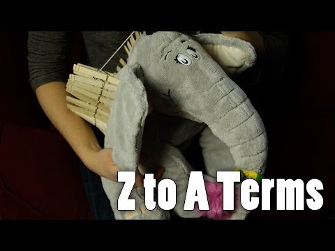 Sexual Terms: From Z to A…