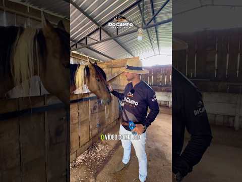 CHÁCARA A VENDA EM SANTA CATARINA