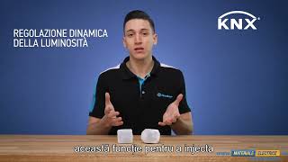 Miniatură video Senzor de miscare - Standard, 30 V, C.C.,KNX interface, Pentru coridoare