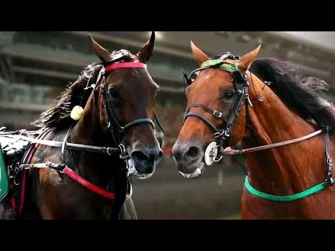 28/9/2022~NANFOLO TURF/FAX PARTON/FAX ASURANCE/BANCO/programme blanc💯👍🏻