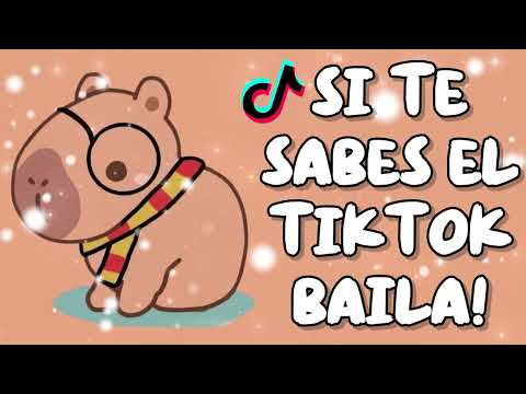 SI TE SABES EL TIKTOK BAILA! - 2025
