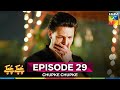 Chupke Chupke Episode 29