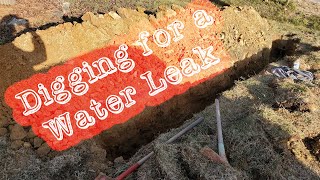 Finding and Fixing an Underground Water Leak