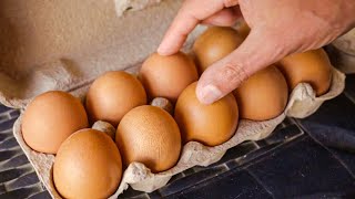Pasture-Raised Eggs in Germany 🇩🇪
