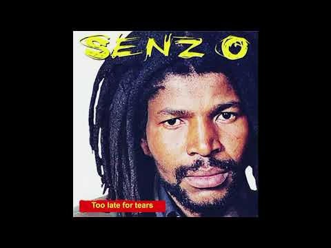 Senzo - Too late for tears