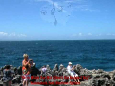 Stirb Nicht Vor Mir (Don't Die Before I Do) - Rammstein feat. Sharleen Spiteri