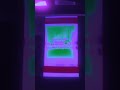 Pingu Outro Effects Round 104