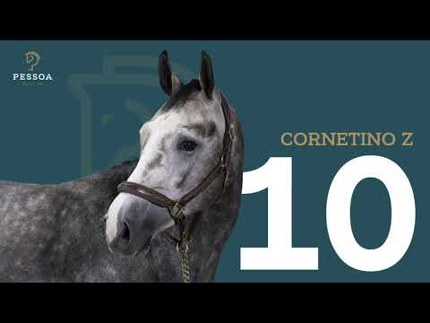 Pessoa Auction: LOT 10 CORNETINO Z