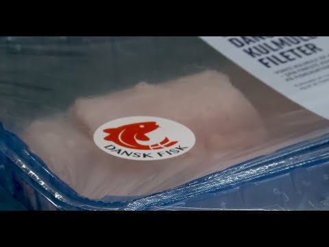 Klimaoptimer din mad: Gå efter sæsonens fisk, når du handler ind