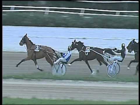 Trotto 07/02/2016 - 5° corsa