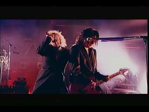 D'ERLANGER  1999~SHY BOY STORY