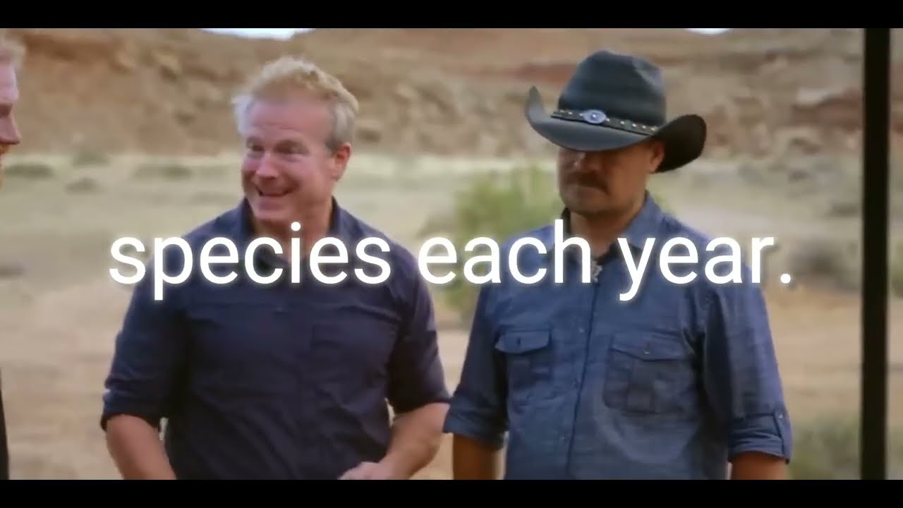 YouTube Thumbnail Downloader FULL HQ IMAGE