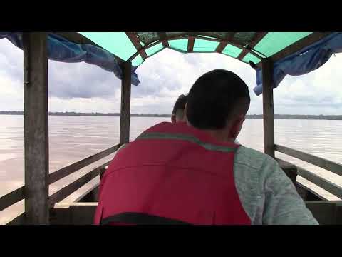 The Amazon near Puerto Nariño