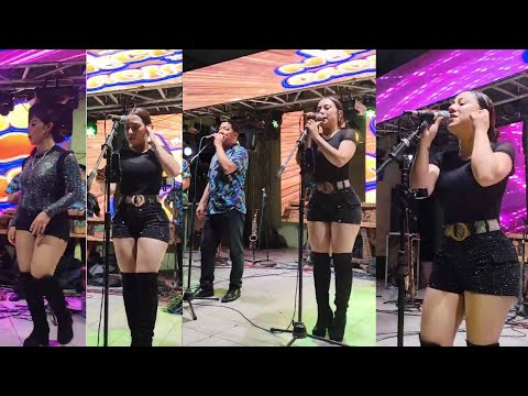 Nicho y sus cachorros  - En Santa Cruz Muluá Retalhuleu 28 De Febrero 2025