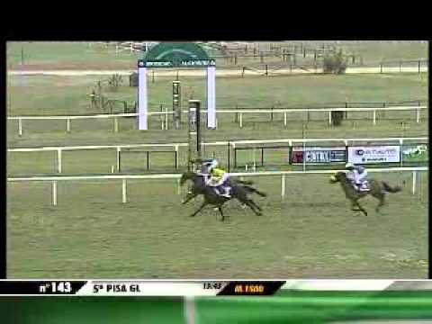 10/01/2013, Pisa Galoppo, Premio Newton C.naz.