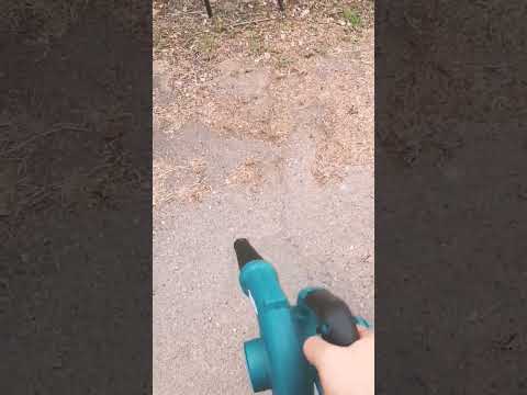 庭の枯れ葉をどう活用するか？それらを分解するためのヒントとテクニック  庭園