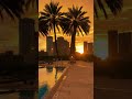 Miami Miamisunset Miamilife Sunsetlover Sunsetvibes Lifeinmiami Miamiliving Miamivice