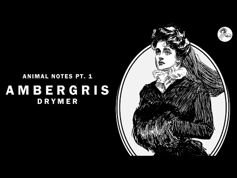 Drymer - Ambergris