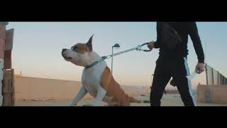 Video Afro & Trap de RVFV