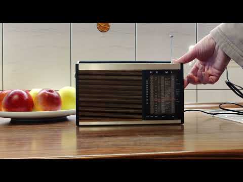 Graetz Pagino netzautomatic 304