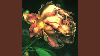 Memento Mori (In The Next Life)