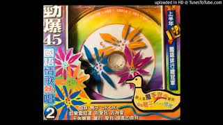 鴨子 (Wicked Duck Mix) (Remake of 蘇慧倫 Tarcy Su)