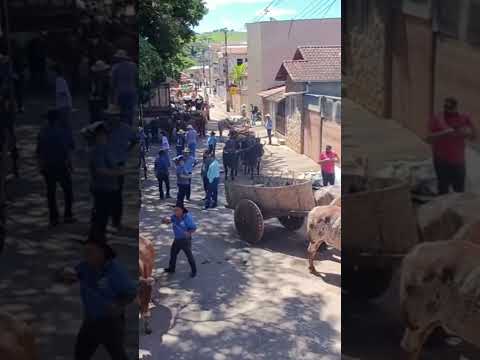 A GRANDE CONCENTRAÇÃO DOS CARREIROS DE SAO JOÃO DA MATA