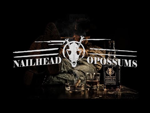 Nailhead Opossums - Sleep the Day Away (Lyric Video)