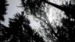 "So Good" Black Buddafly