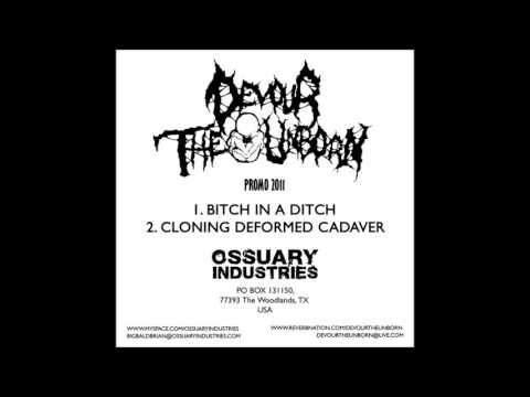 Devour The Unborn - 2011 Promo