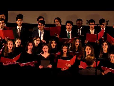 Imnul Amicus - coruri reunite prezent și trecut | Concert Festiv Amicus Timișoara🩷🤍🎶🎼🎤🎹🎻🤍🩷