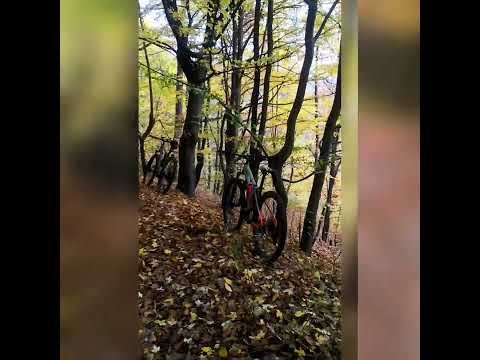 Traseu MTB Comănești - Dărmănești - Baraj Valea uzului