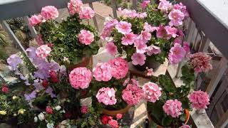 Dolly Parton - The moon,the stars and me