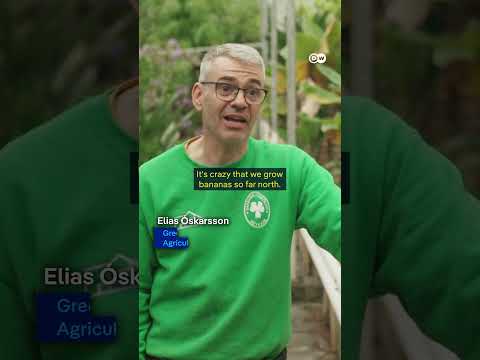 Tropical Fruits… Grown Near The Arctic? | Dw Documentary