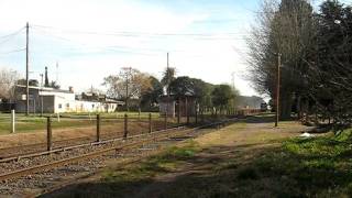 preview picture of video 'Tren Nº 1303 a Mar del Plata, pasando por Jeppener.'