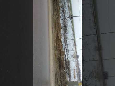 intrarea in sat ciocanari,comuna niculesti,jud.dambovita