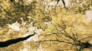 September Song - Willie Nelson